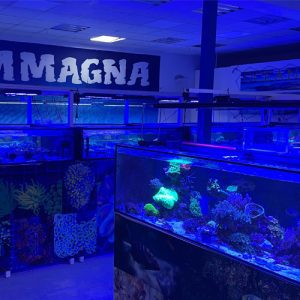 Asesoramiento individualizado