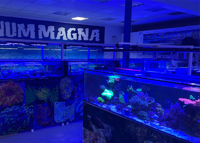 Asesoramiento individualizado