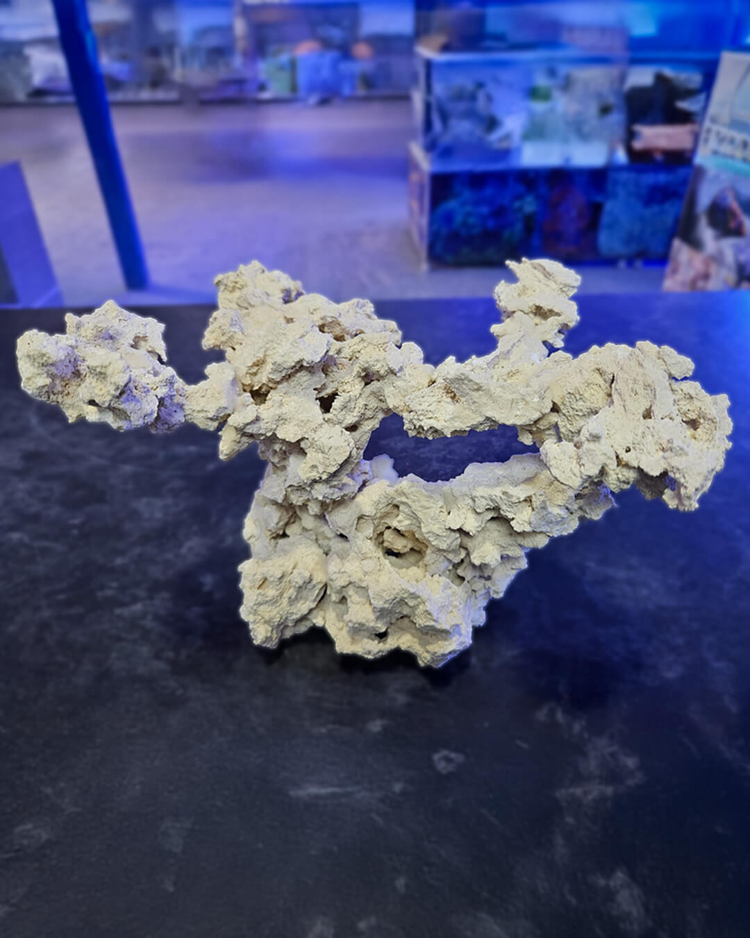 Marco Rocks Roca Muerta en Estructura (Precio por KG) - Imagen 2