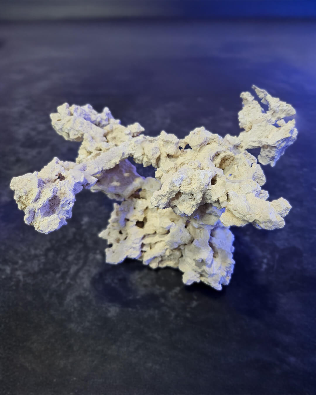 Marco Rocks Roca Muerta en Estructura (Precio por KG) - Imagen 3