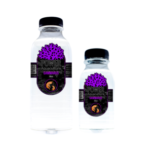 Jellyfarmer Gammarus Marino Vivos Reef Safe