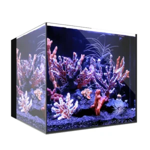 Waterbox Aquariums Acuario AIO 20 Cube